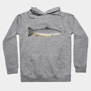 Zubatak Trout Hoodie